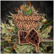 Paradise Seeds Chocolate Wafflez | Feminisiert | 5 Samen