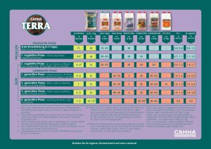 Canna Terra Vega 5 l