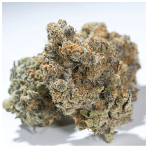 Paradise Seeds Glowstarz | Feminisiert | 10 Samen