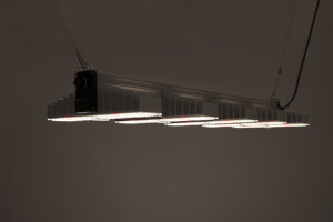 SANlight EVO 5-120 1.5 - 340W - without power cable