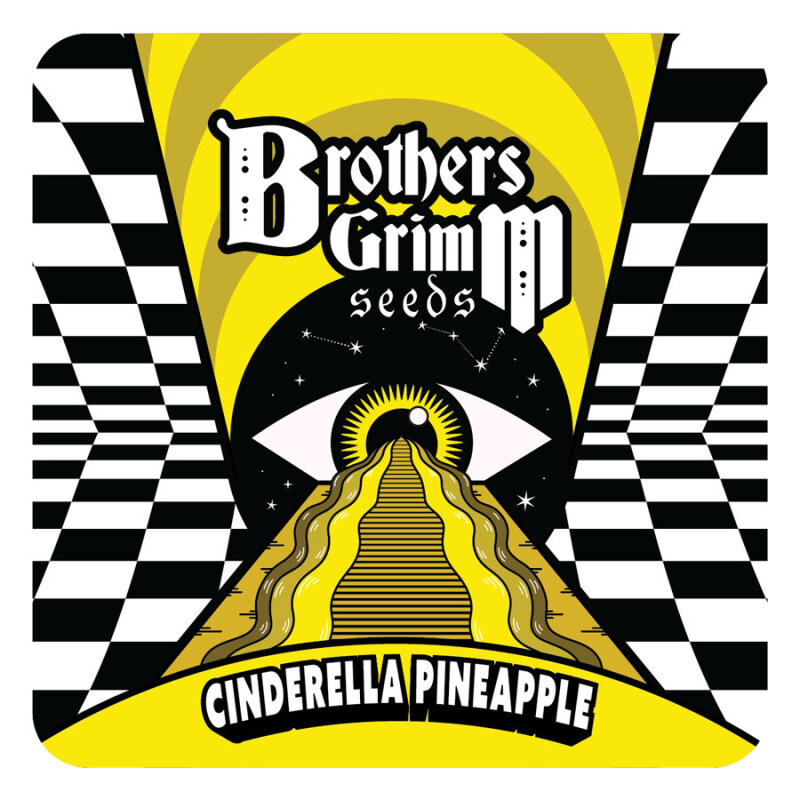 BGS Cinderella Pineapple Feminisiert 3er