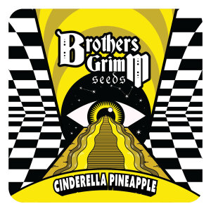 BGS Cinderella Pineapple Feminisiert 3er