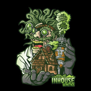 IHG Platinumz Fem. 3er