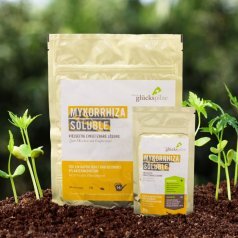 Mycorrhiza Soluble 30 g
