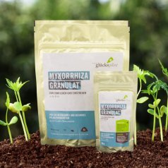 Mycorrhiza granules 180 g
