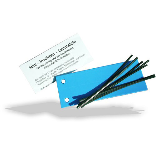 Blue boards 10 pieces 12 x 5 cm