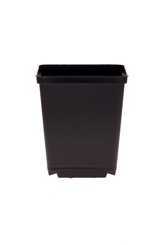 container TEKU 1.55 l 13 x 13 x 13 cm