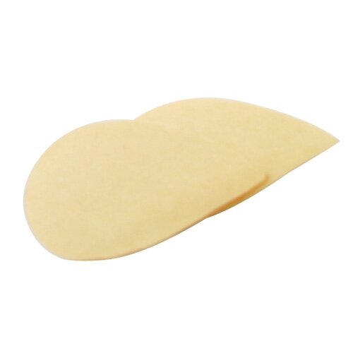 Filter for Honey Bee Extractor 1 piece