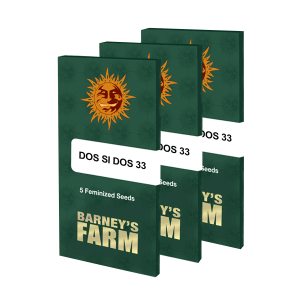 Barneys Farm Dos Si Dos 33 | Feminisiert | 5 Samen