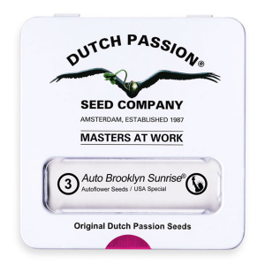 Dutch Passion Auto Brooklyn Sunrise | Automatik | 3 Samen - Auslaufartikel