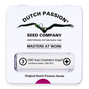 Dutch Passion Auto CBD Charlottes Angel | Automatik | 3 Samen