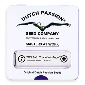 Dutch Passion Auto CBD Charlottes Angel | Automatik | 7 Samen