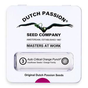 Dutch Passion Auto Critical Orange Punch | Automatik | 3 Samen