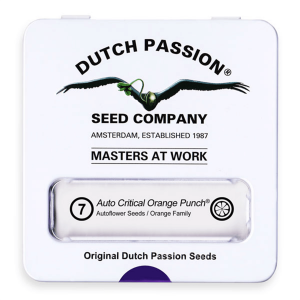 Dutch Passion Auto Critical Orange Punch | Automatik | 7...