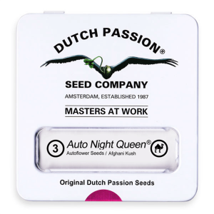 Dutch Passion Auto Night Queen | Automatik | 3 Samen