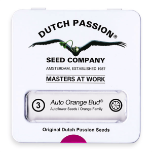 Dutch Passion Auto Orange Bud | Automatik | 3 Samen