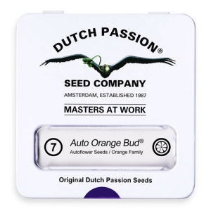 Dutch Passion Auto Orange Bud | Automatik | 7 Samen