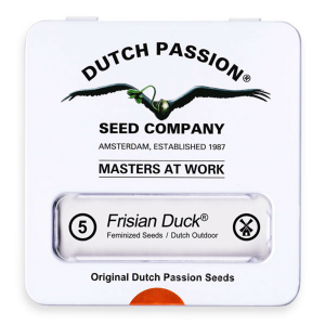 Dutch Passion Frisian Duck | Feminisiert | 5 Samen