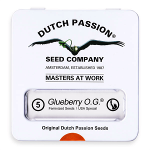 Dutch Passion Glueberry O.G. | Feminisiert | 5 Samen