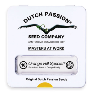 Dutch Passion Orange Hill Special | Feminisiert | 10 Samen