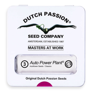 Dutch Passion Auto Power Plant | Automatik | 3 Samen