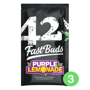 Fast Buds Purple Lemonade | Automatik | 3 Samen