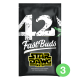 Fast Buds Stardawg | Automatik | 3 Samen
