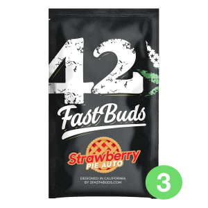 Fast Buds Strawberry Pie | Automatik | 3 Samen