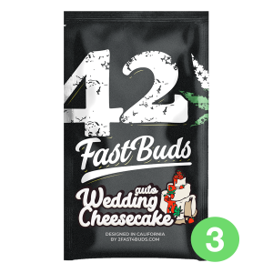 Fast Buds Wedding Cheesecake | Automatik | 3 Samen