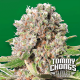 Paradise Seeds Mendocino Skunk | Tommy Chongs collection | Feminisiert | 10 Samen