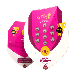 Royal Queen White Widow | Feminisiert | 5 Samen