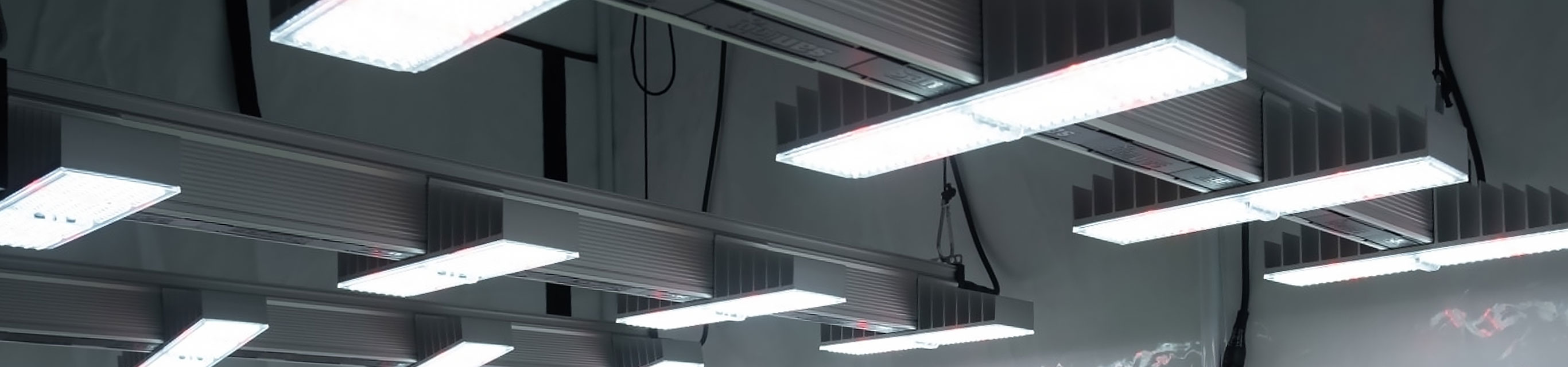 sanlight - besseres Licht, bessere Pflanzen